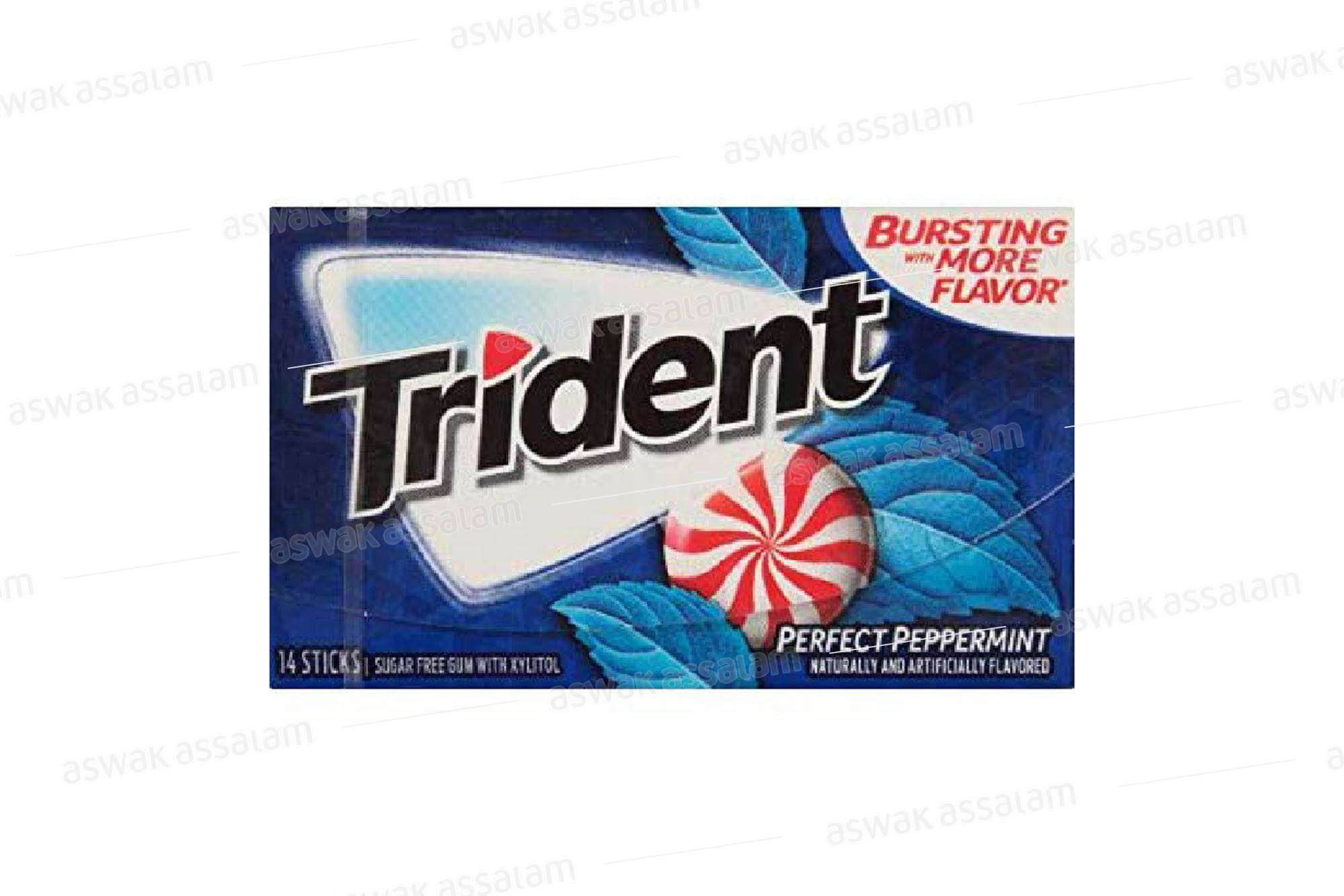 CHEWING-GUM PEPPERMINT SANS SUCRE 14 PIECES TRIDENT