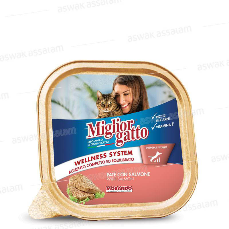 PATE AU SAUMON 100G POUR CHAT MORANDO